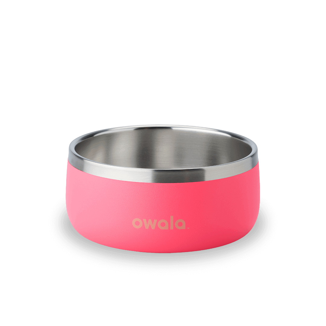 Pet Bowl [9ZGG]